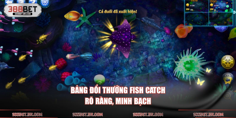 Bảng đổi thưởng Fish Catch rõ ràng, minh bạch