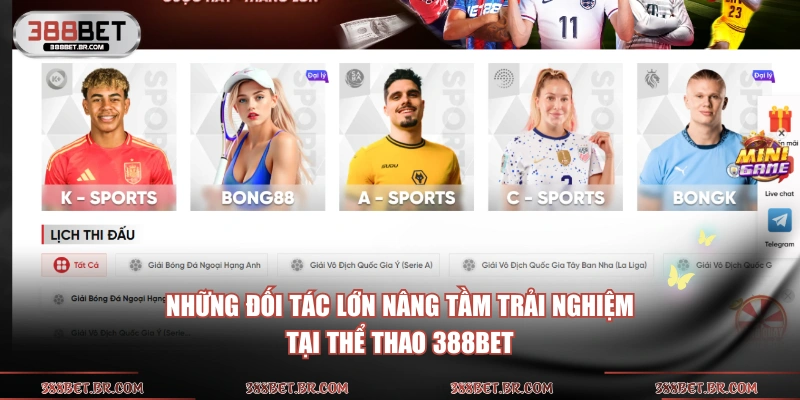 Những đối tác lớn nâng tầm trải nghiệm tại thể thao 388BET